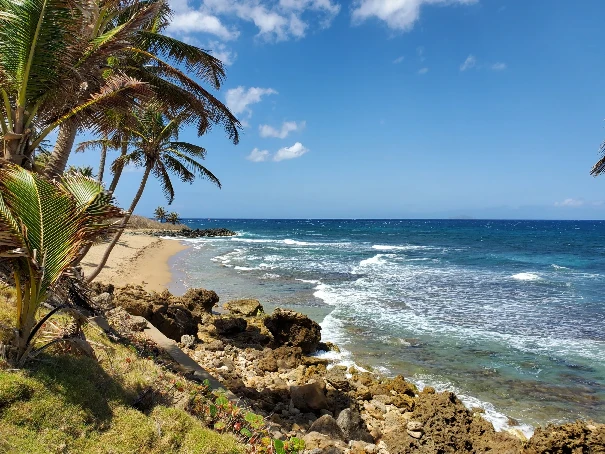 Playa Domes (Rincón)