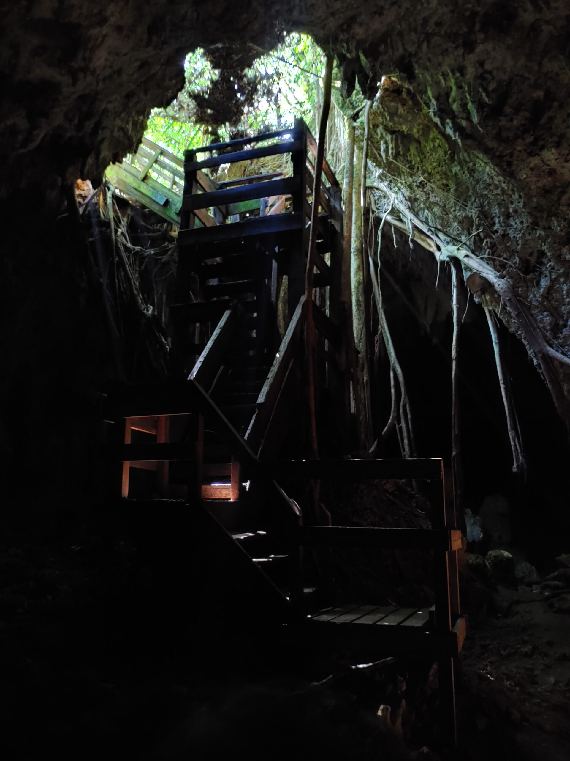 Cueva del viento (Isabela)
